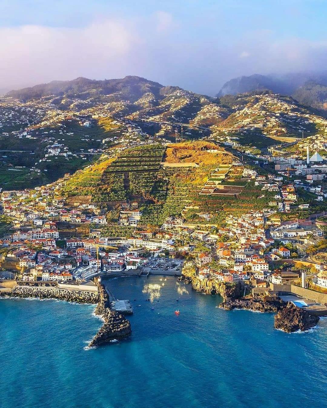 Cantinho Da Te Câmara de Lobos Dış mekan fotoğraf